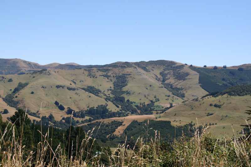 Nieuw-Zeeland 2011 - 2088